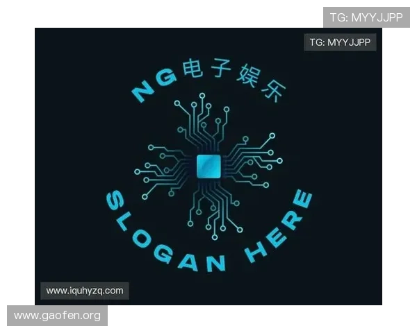 分析ng电子娱乐的盈利模式与市场推广策略实现持续盈利目标