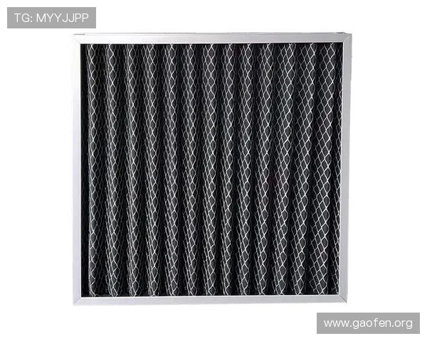 南宫NG官网app安全性评测与用户隐私保护措施详解