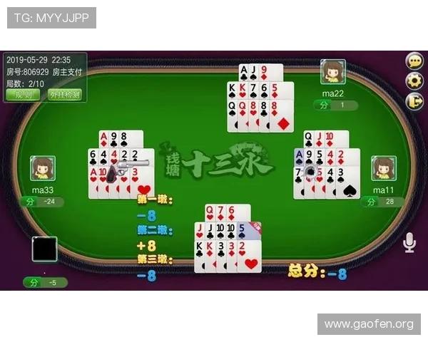 十三水玩法的娱乐性与竞技性分析：满足不同玩家需求