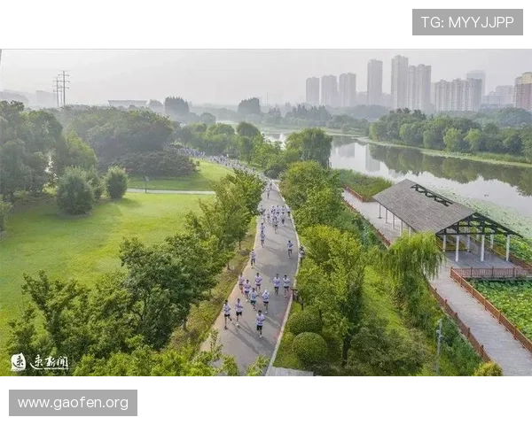 南宫体育公园的历史背景与发展历程带您了解这片运动绿地的故事