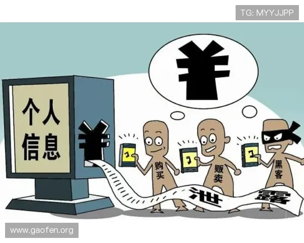 如何安全访问ng体育官方入口确保账号信息安全与游戏体验提升